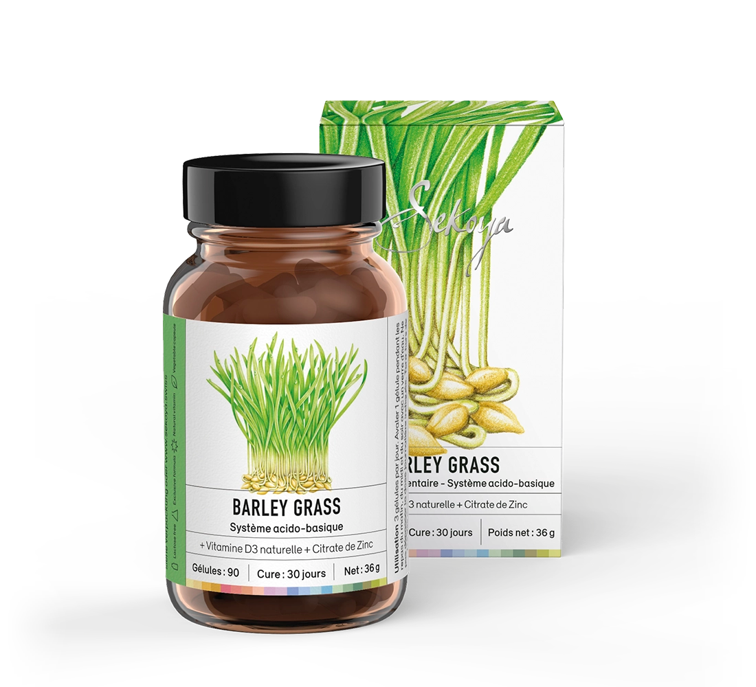 Barley grass