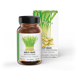 Barley grass