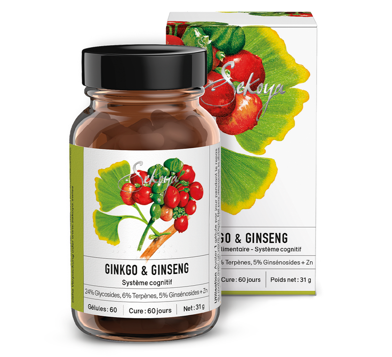 Ginkgo Ginseng